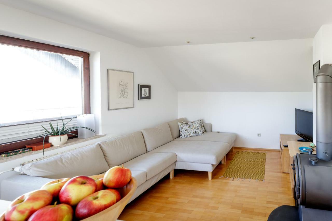 Cosy & Spacious Apt. Benc Zirovnica Exteriör bild