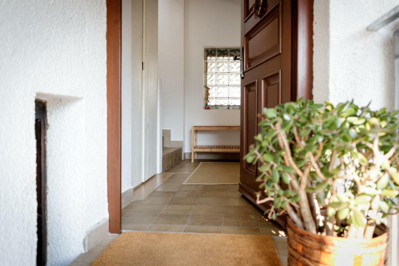 Cosy & Spacious Apt. Benc Zirovnica Exteriör bild